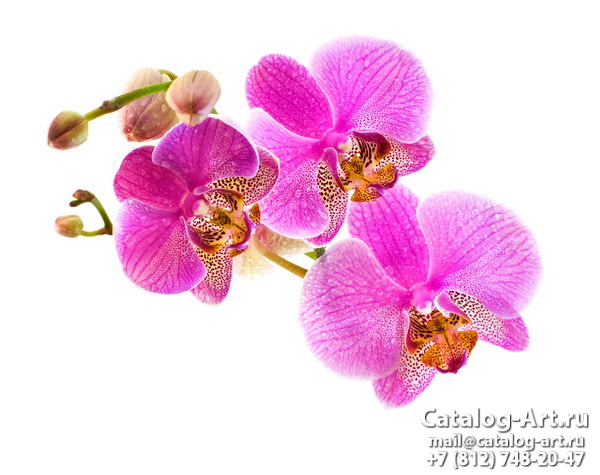 Натяжные потолки с фотопечатью - Розовые орхидеи 92
